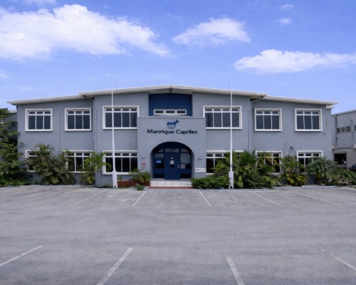 Wayaca 33D - commercial property